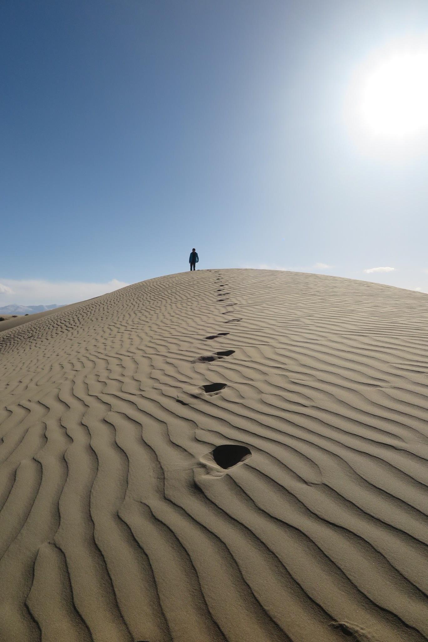 你最喜欢的背影照片是哪张?