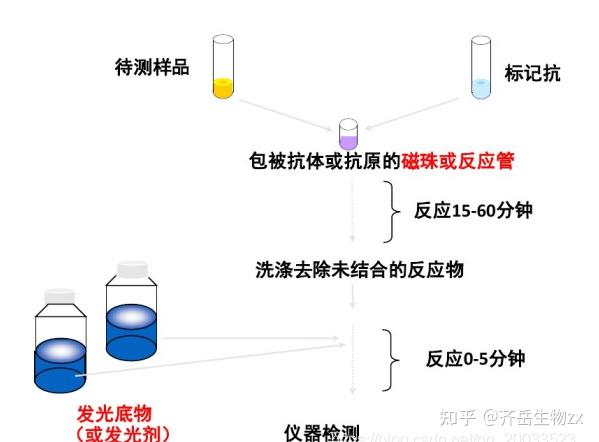 齊嶽分享吖啶酯dmaenhsmedmaenhsnspdmaenhs化學發光試劑的檢測步驟及