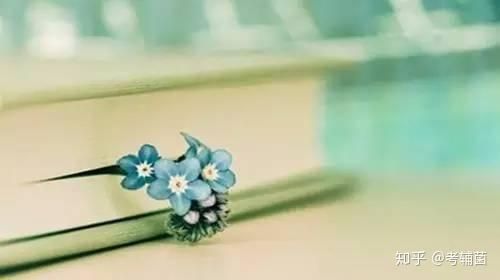 高考 掌握英语名人名言 不怕提高不了英语素养 知乎