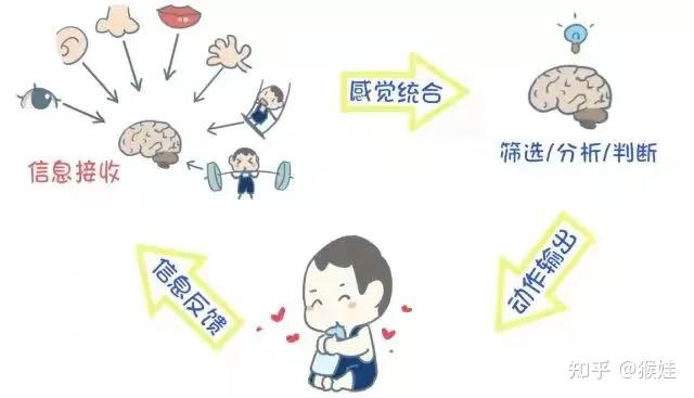 感知综合障碍 zhuanlan.zhihu.com