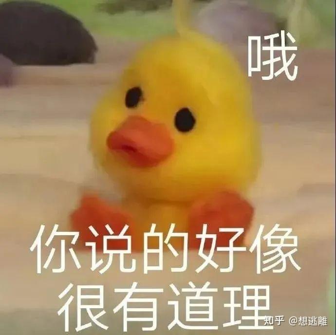奇怪的搞笑必备表情包又增加了~ - 知乎