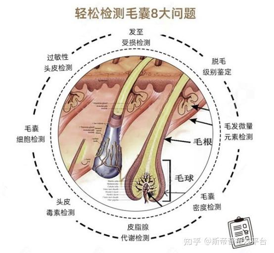 植发和齿科哪个好(植发护士好还是口腔护士好)