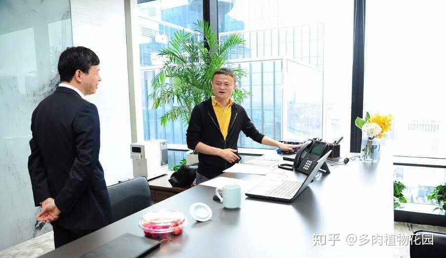 马云的办公室简约时尚但是这盆网红绿植位置摆错了你同意吗