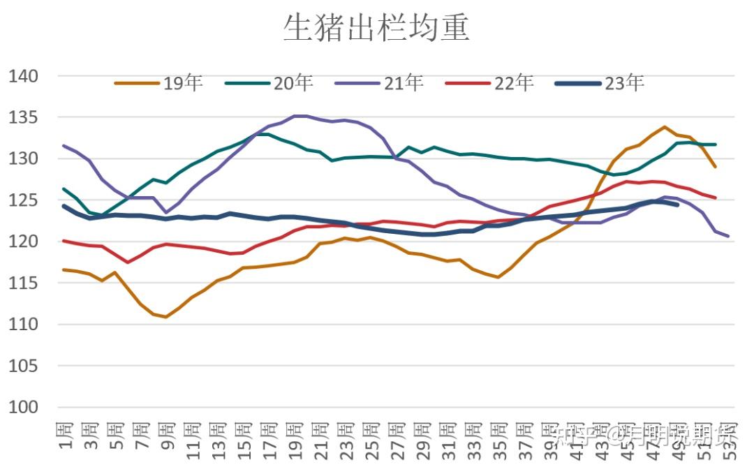 生豬期貨大漲反轉來了嗎