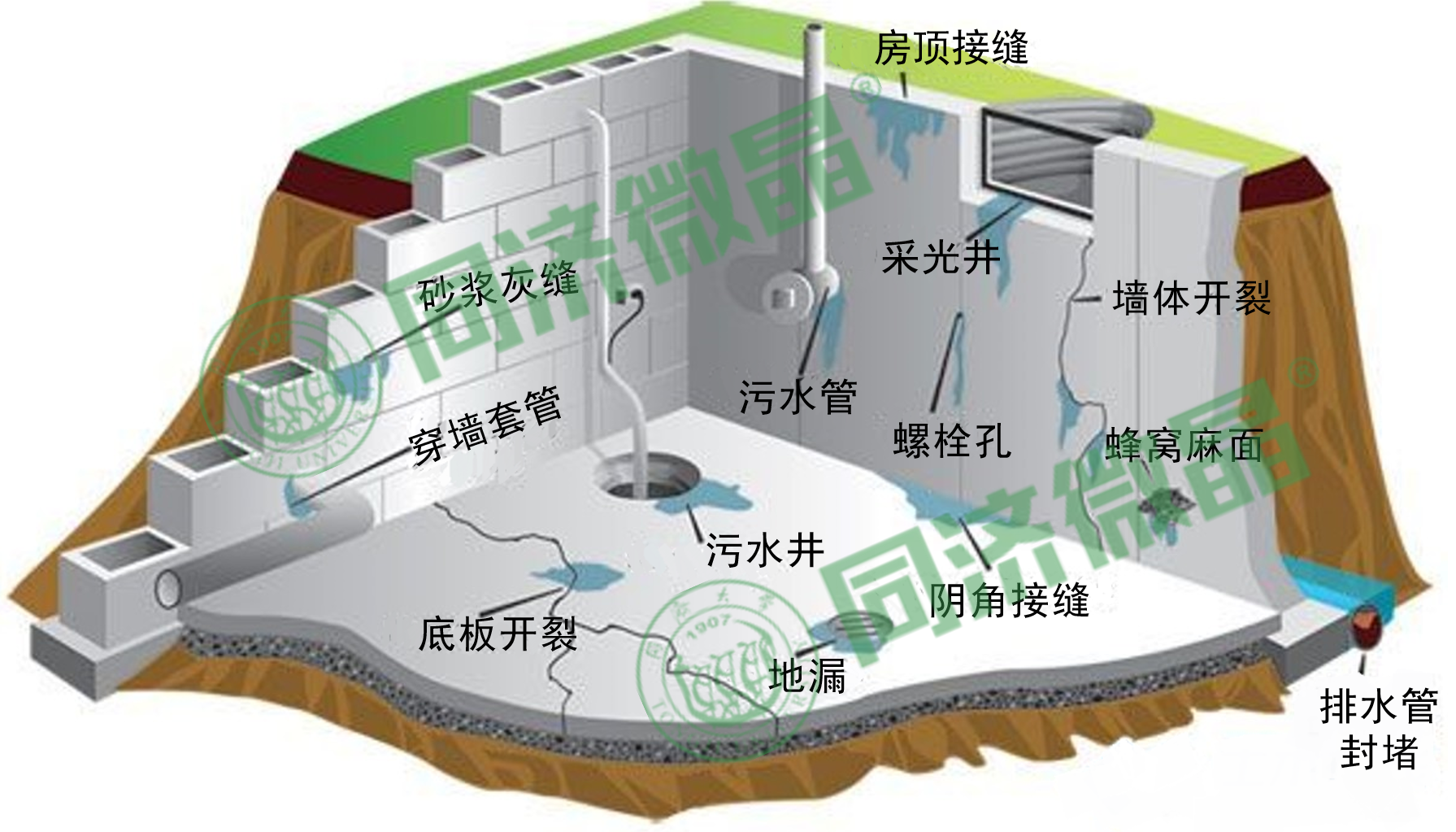 挖地窖教程图片