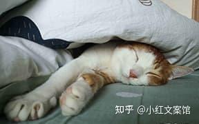 抖音文案怎么写吸引人短句(抖音里干净治愈又吸粉的文案短句)