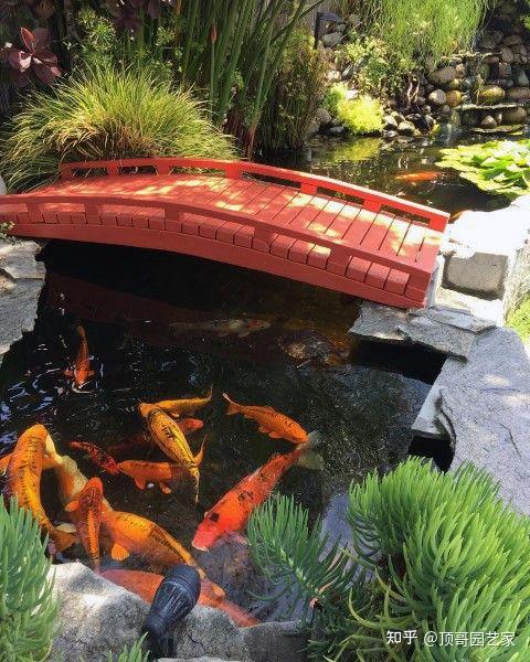 庭院鱼池是规则式好还是自然式好