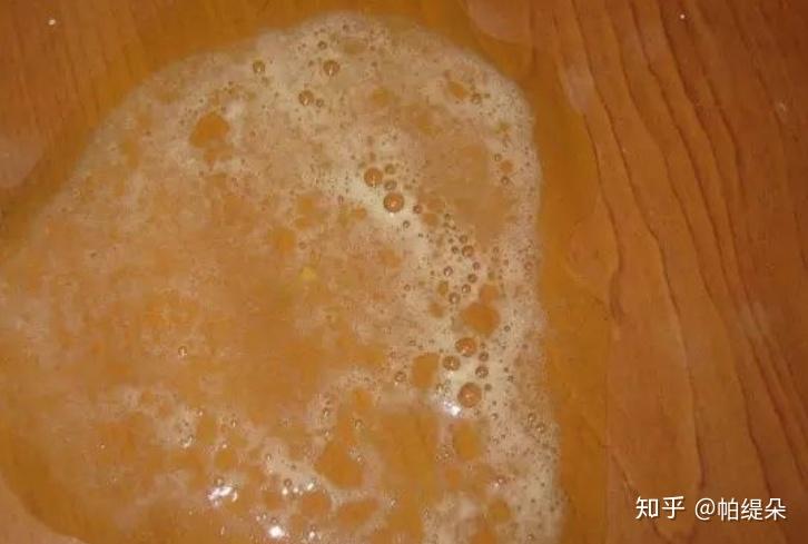 猫咪的胃液一般是粘稠透明色液体,有时候会带有一些白色泡沫.