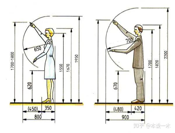 傢俱設計人體工程學尺寸
