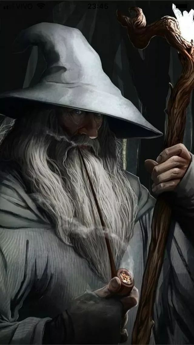 谁是最令人惊异的阿尼马格斯?