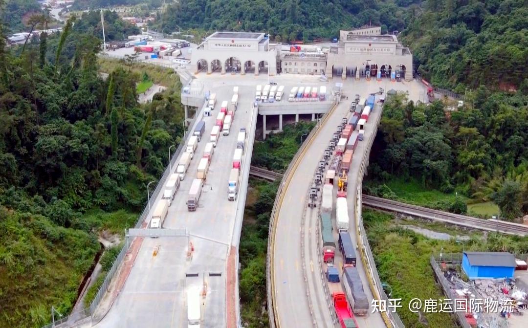 提升通关便利化水平崇左助推东盟水果进入国内市场