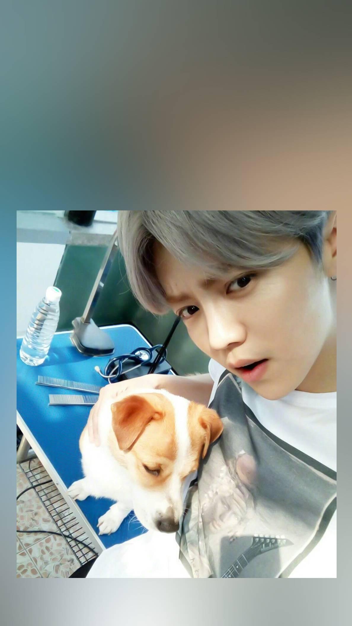 怎么评价鹿晗的唱功?