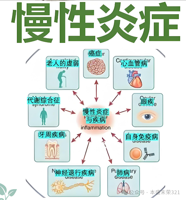 2025版十四大衰老标志，从老年科学到精确老年医学：理解和管理衰老 - 知乎