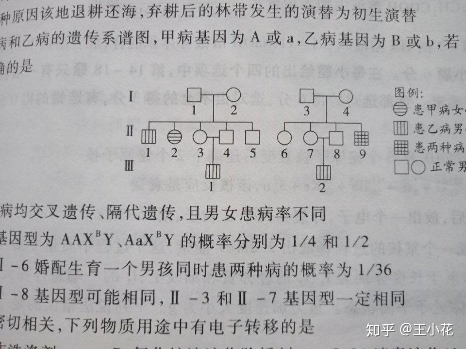 v2-51ecd696c9a5ef2325f5bd1cdb148221_r.jpg
