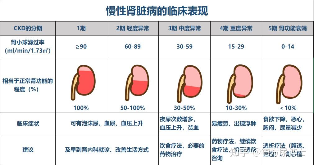 2022世界肾脏日做好肾病防治共享肾心健康