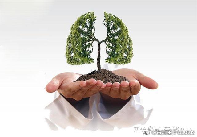 肺寒肺热肺燥 - 知乎