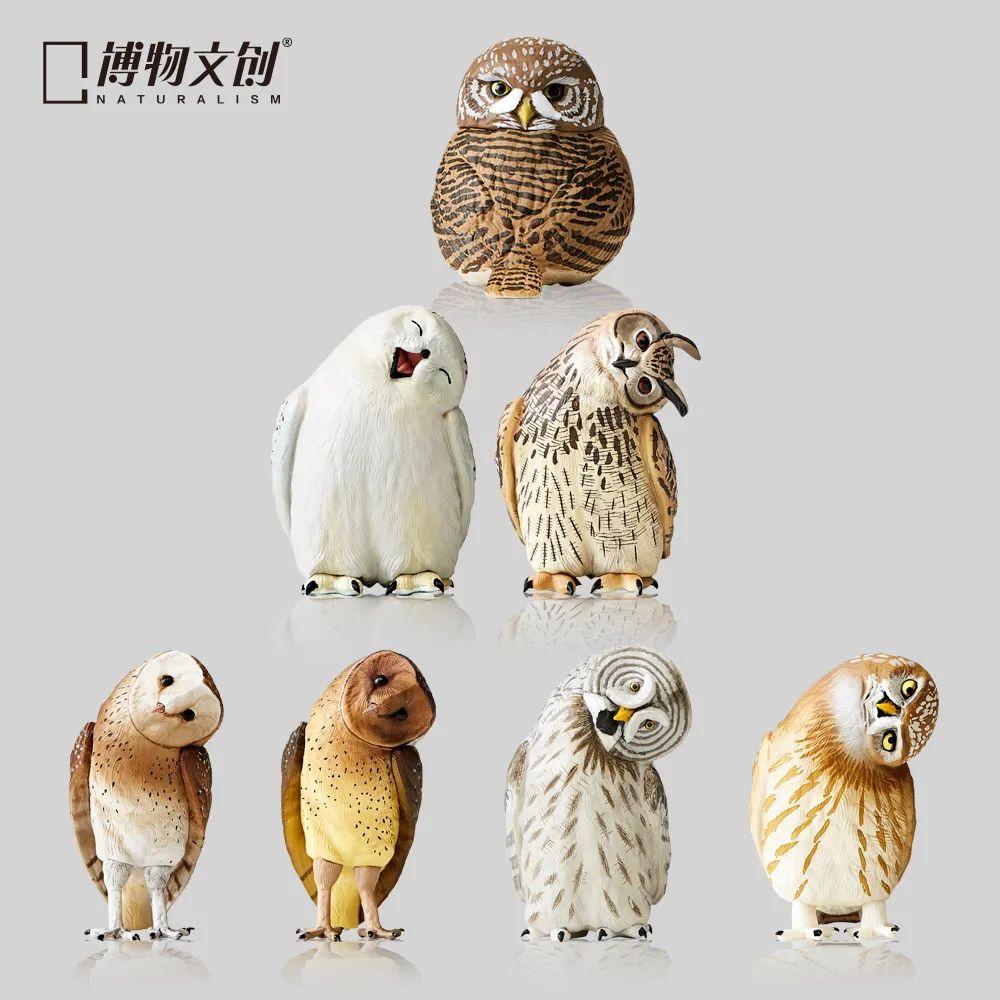 深入雪豹的隐秘世界