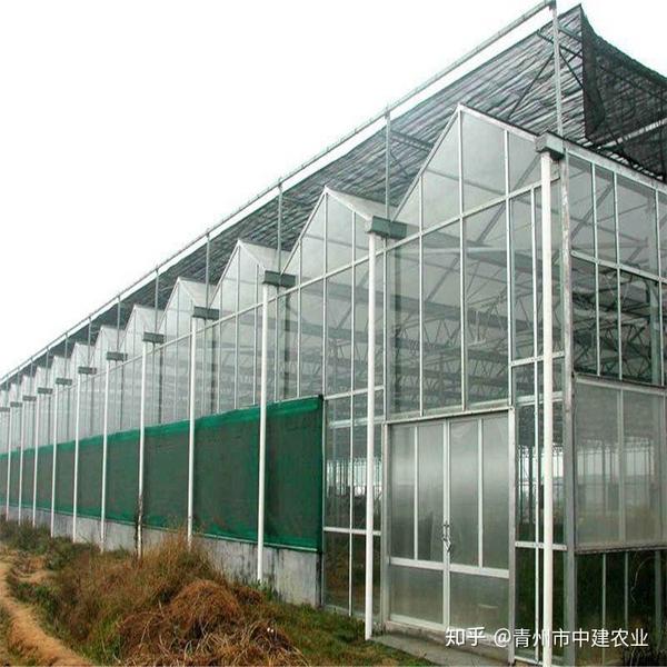 建设玻璃温室的多种理由 知乎 