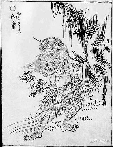 日本—【百鬼夜行】，鬼类及妖类的来历及介绍 - 知乎