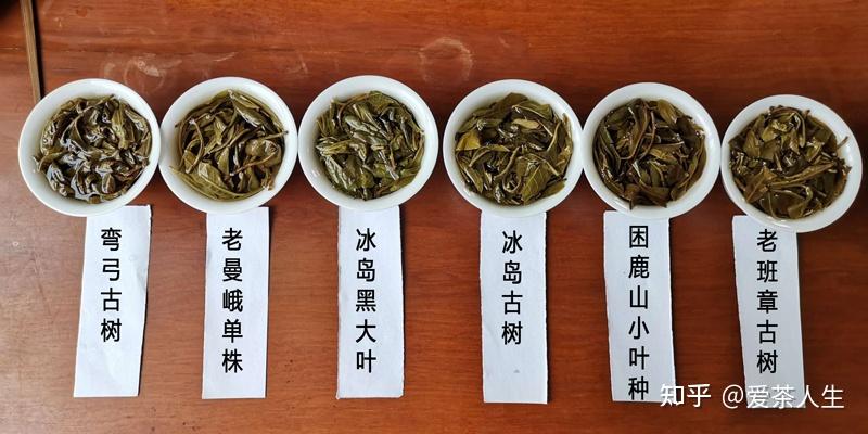 學到這些點,喝懂普洱茶沒那麼難! - 知乎