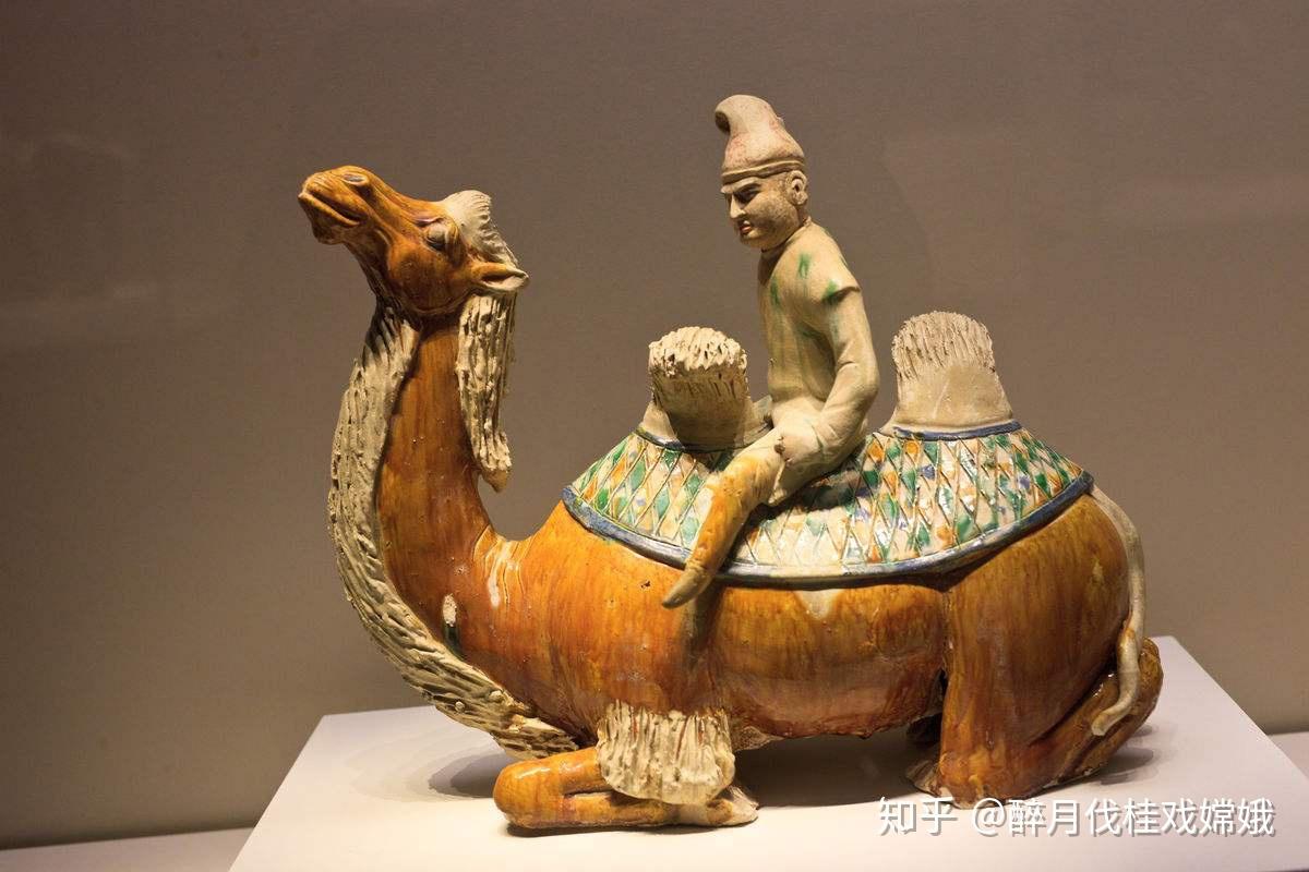 换个视角来看西域以及秦国与西域的关系