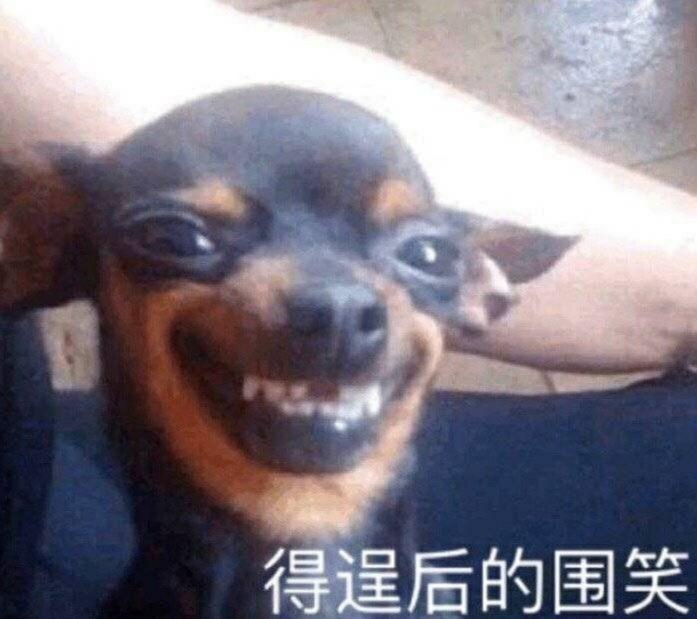 有没有让你笑到肚子疼的沙雕表情包