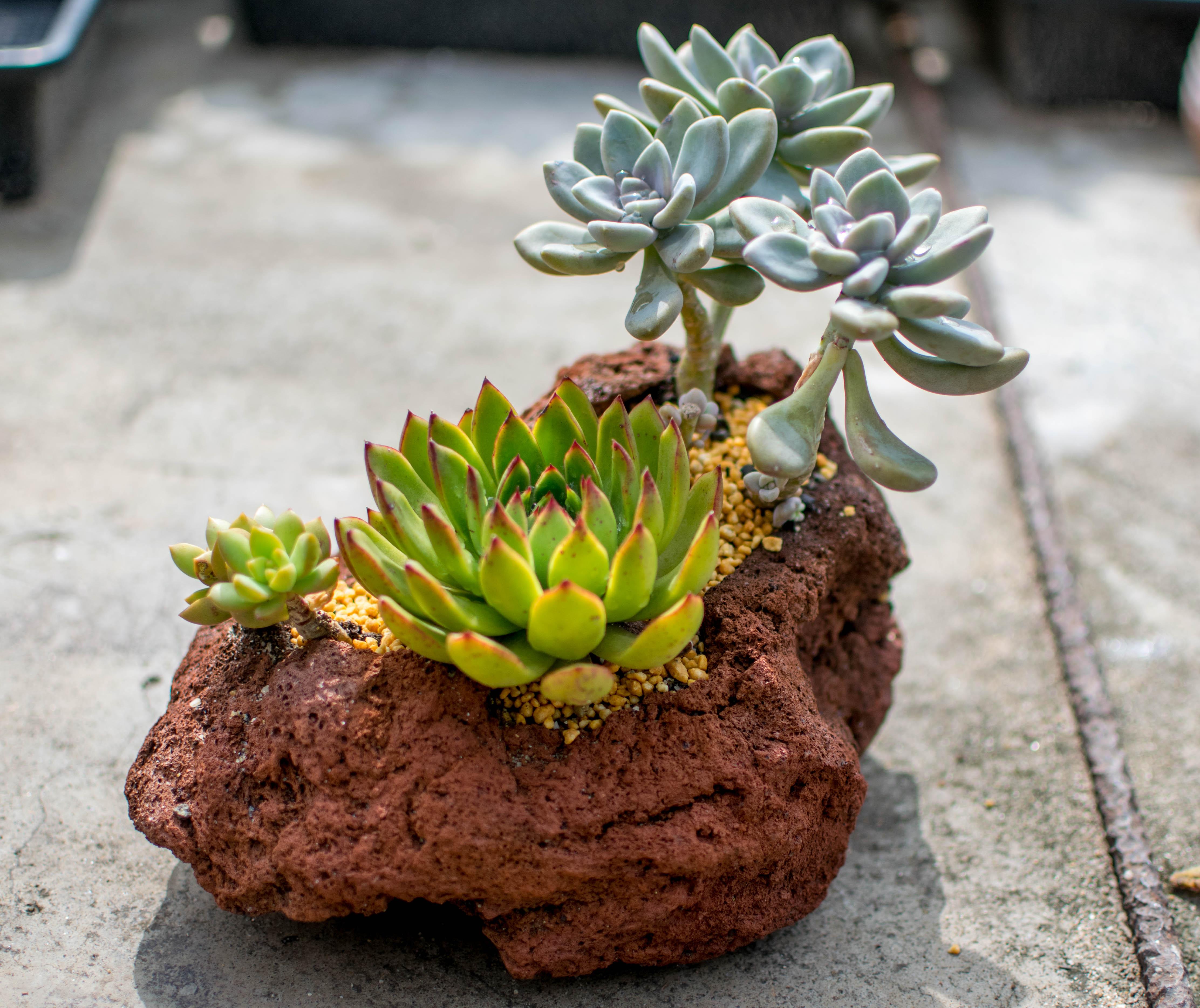 手工:加工火山石花盆