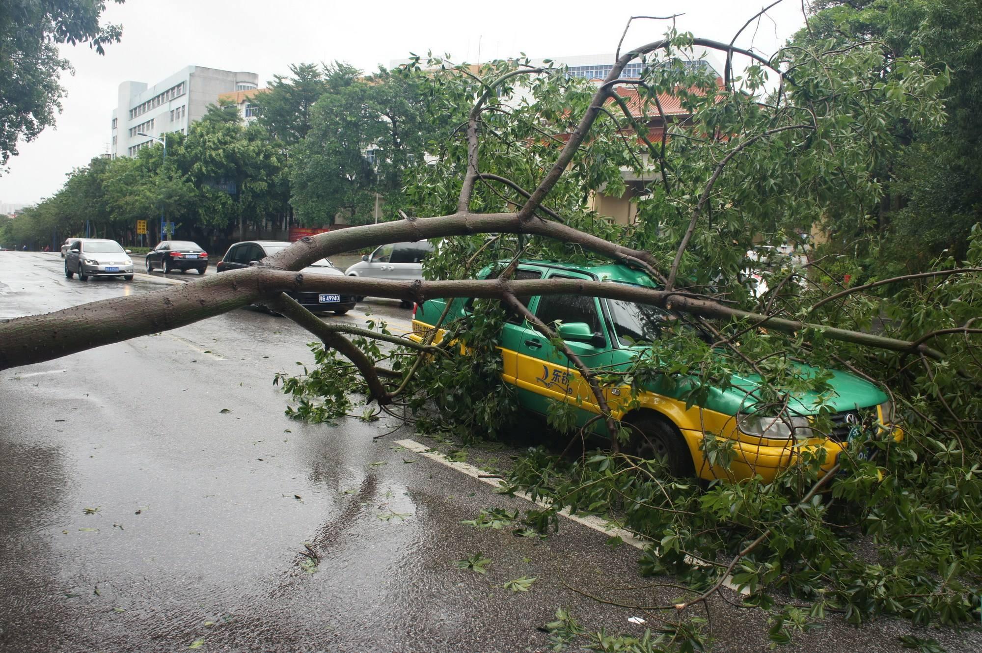 台风天鸽余威尚在帕卡已在路上爱车怎么办