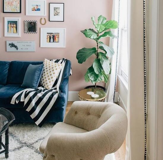 沙发选什么颜色才会与淡粉色的墙纸比较搭?