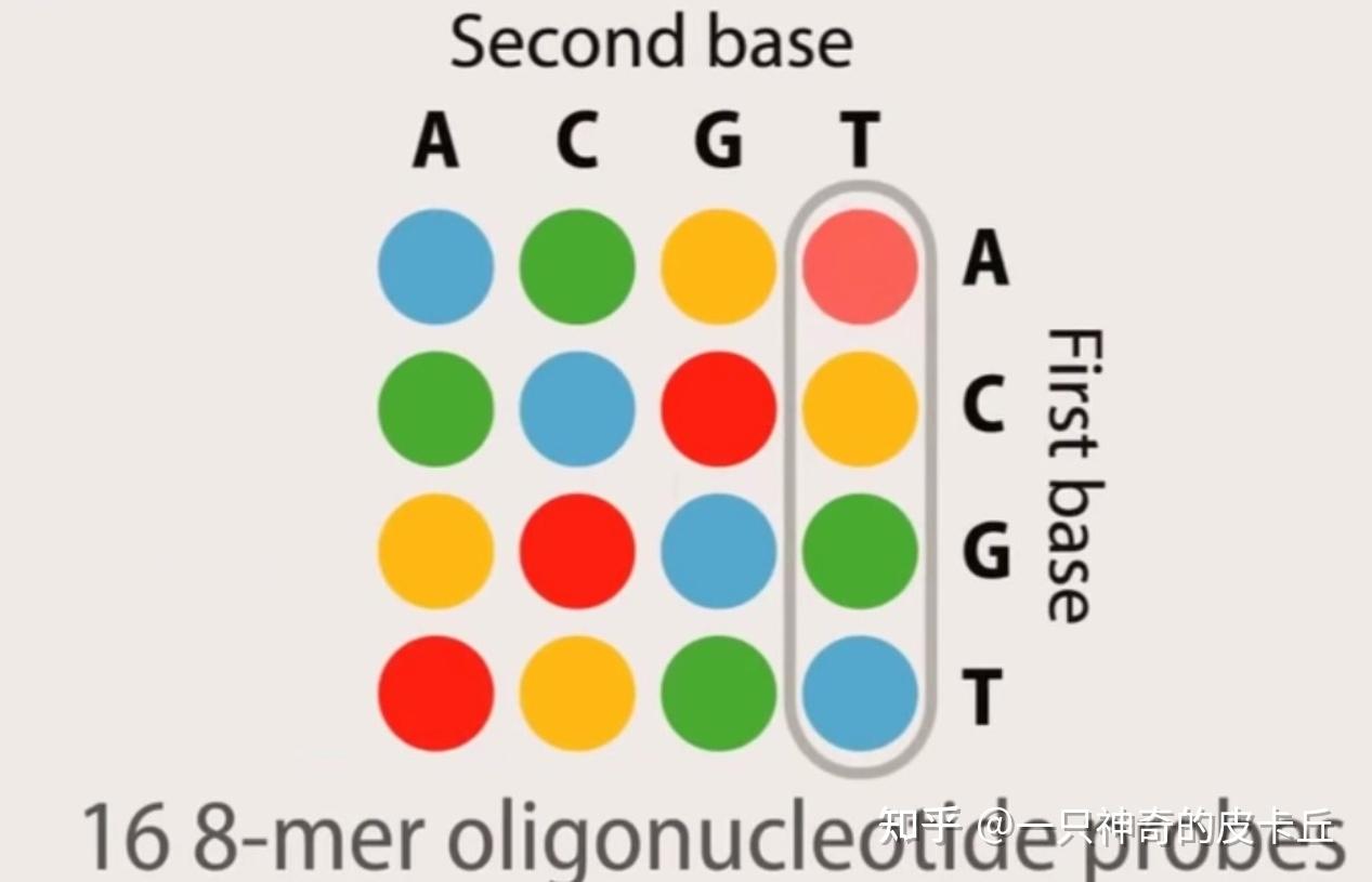 二,第二代测序原理(ngs,next-generation sequencing)