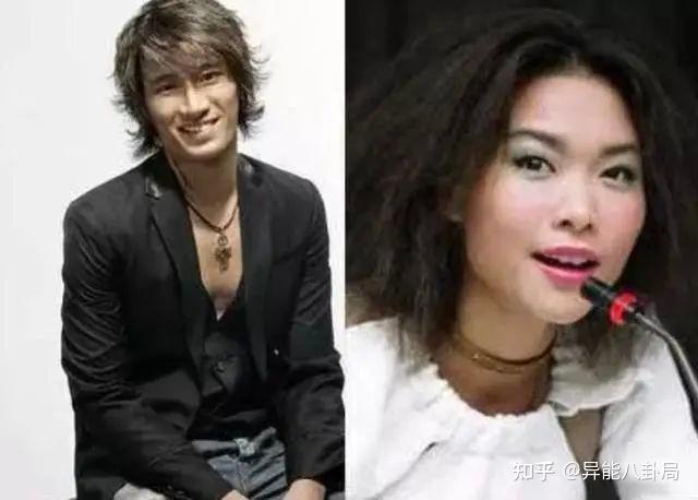 昔日天后许美静,被陈佳明迫害到疯?