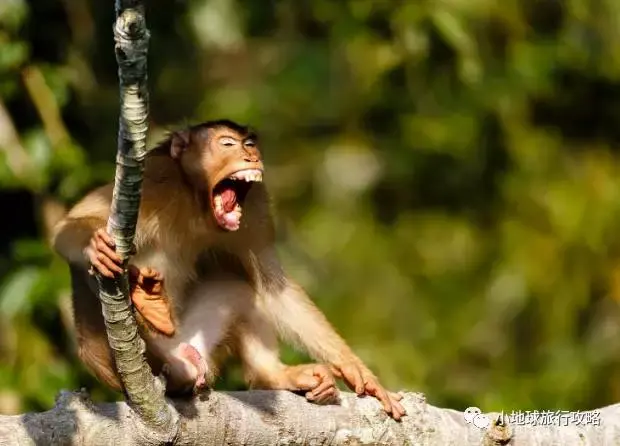 史上最好的沙巴小众旅行攻略，没有之一。