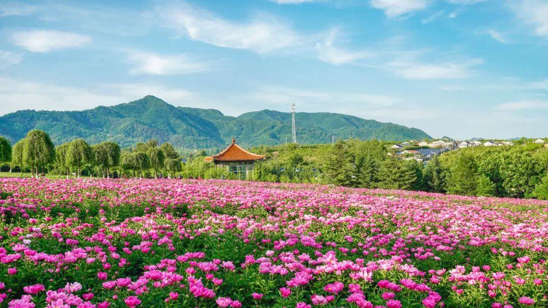 常德景点排行榜,湖南常德值得一去的10个好玩景点,你去过几个? - 知乎