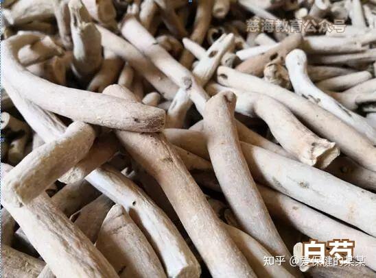 一味中药——白芍 - 知乎