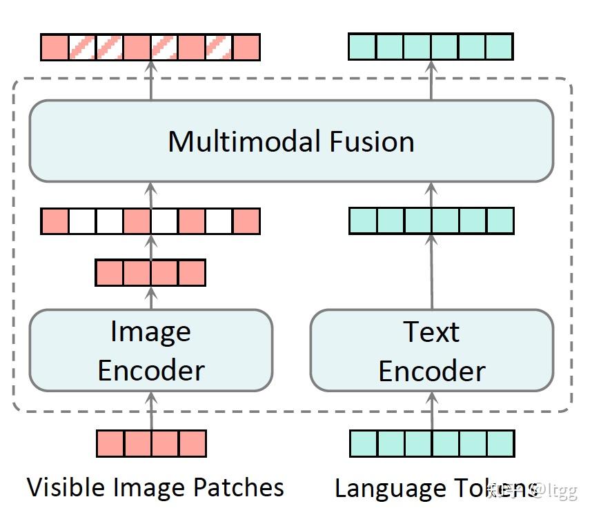 多模态如何做联合Mask？MAMO结合显式与隐式预测目标进行多模态Masked Modeling 知乎