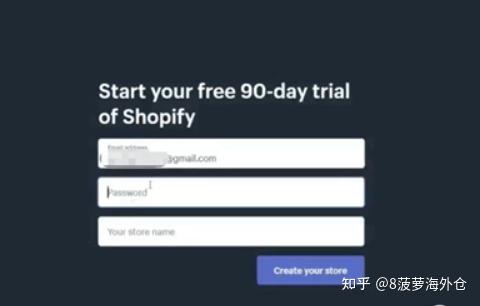 如何为Shopify商店设置自定义域名？  第1张
