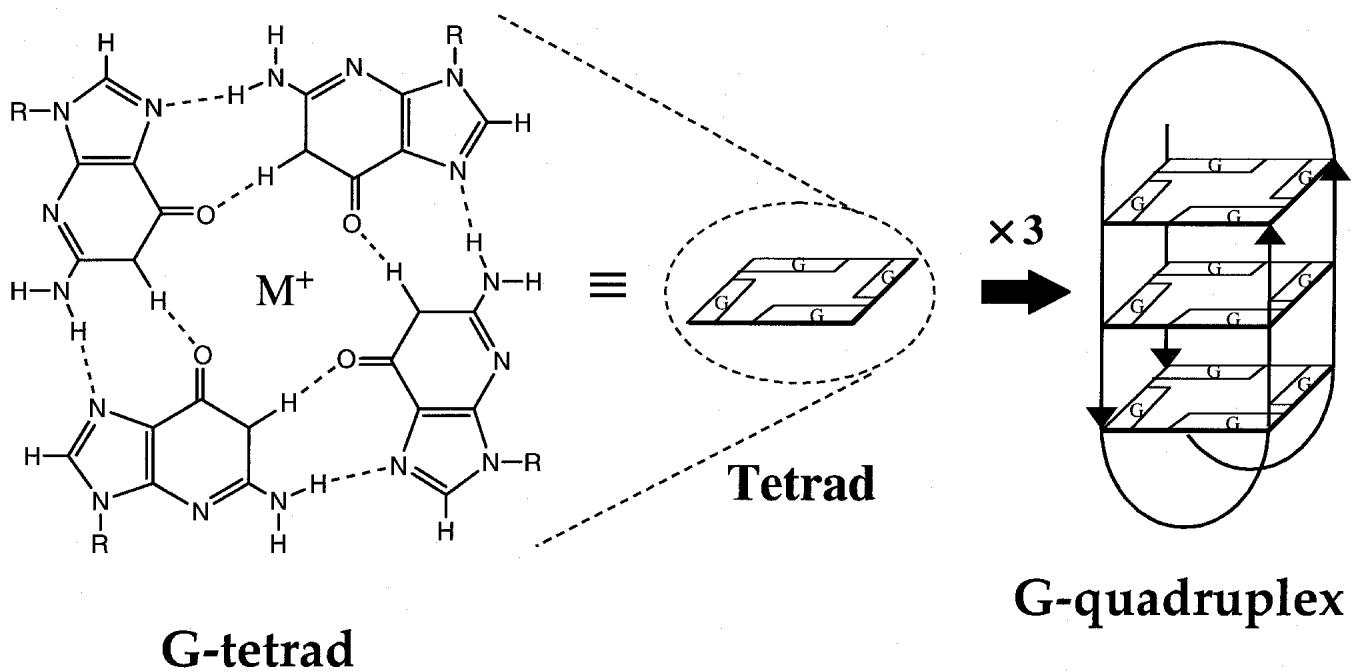 碱基互补配对,可不止AT和CG那么简单 知乎