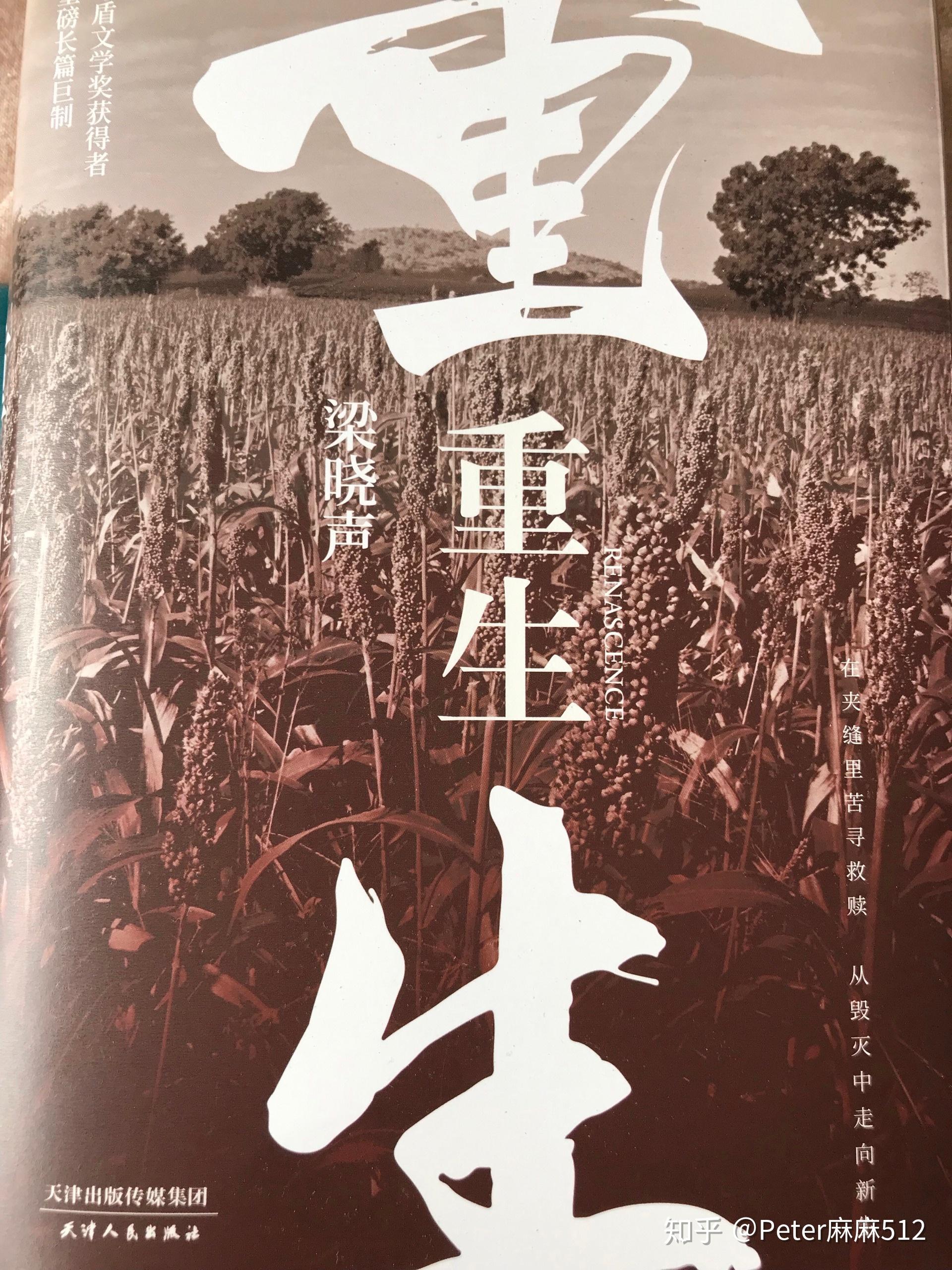 《重生》-一个"儒者"以柔克刚的故事 - 知乎