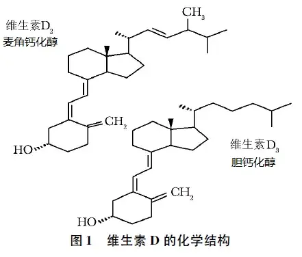 细胞内储存的7-脱氢胆固醇经阳光中的紫外线照射后产生维生素d3前体