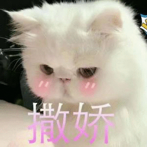女生撒娇专用表情包,速速收藏! - 知乎
