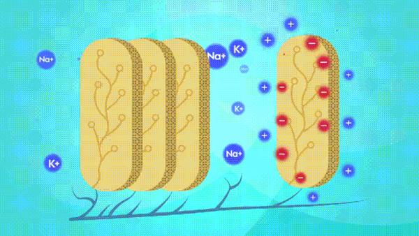 虫族的能量本质上来说应该是以蛋白质为主的营养物质,像女皇注卵,也是