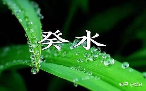 十天干之:癸水 日主癸水如何解读之我见 - 知乎