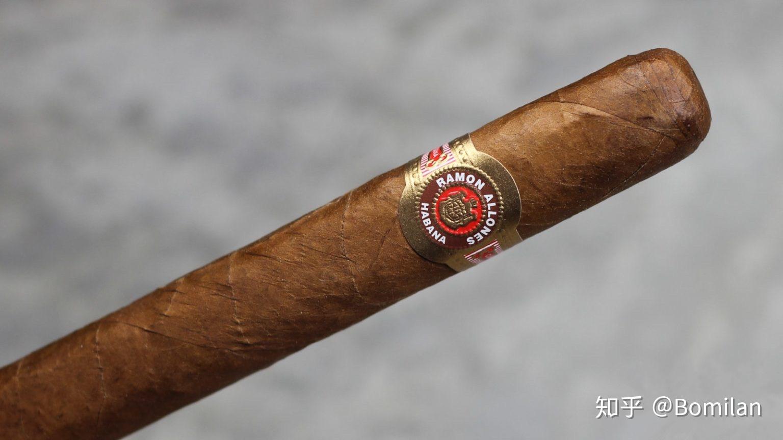 雷蒙阿隆巨人品吸