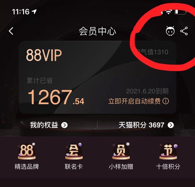 淘寶88vip白嫖網易雲黑膠會員今晚和我一起網抑雲