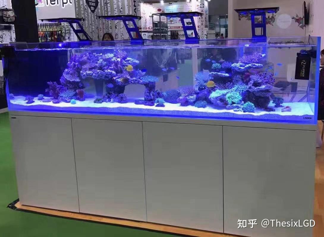 海水缸的一些基本硬件设备的选择 - 知乎