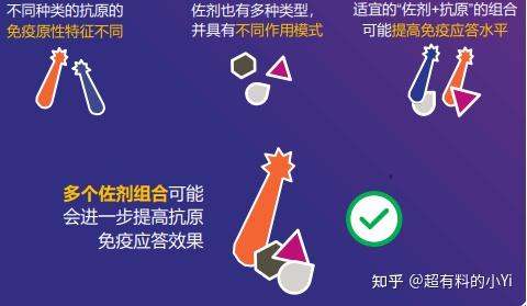 疫苗里添加的佐剂到底有什么效果? - 知乎