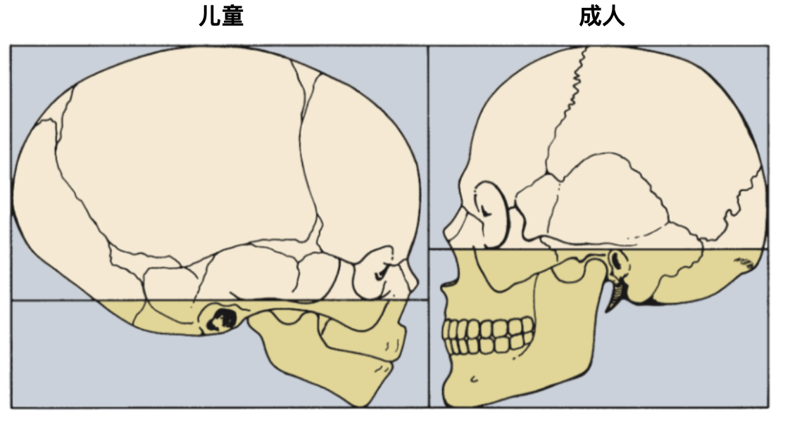 正畸有哪些注意事项》 