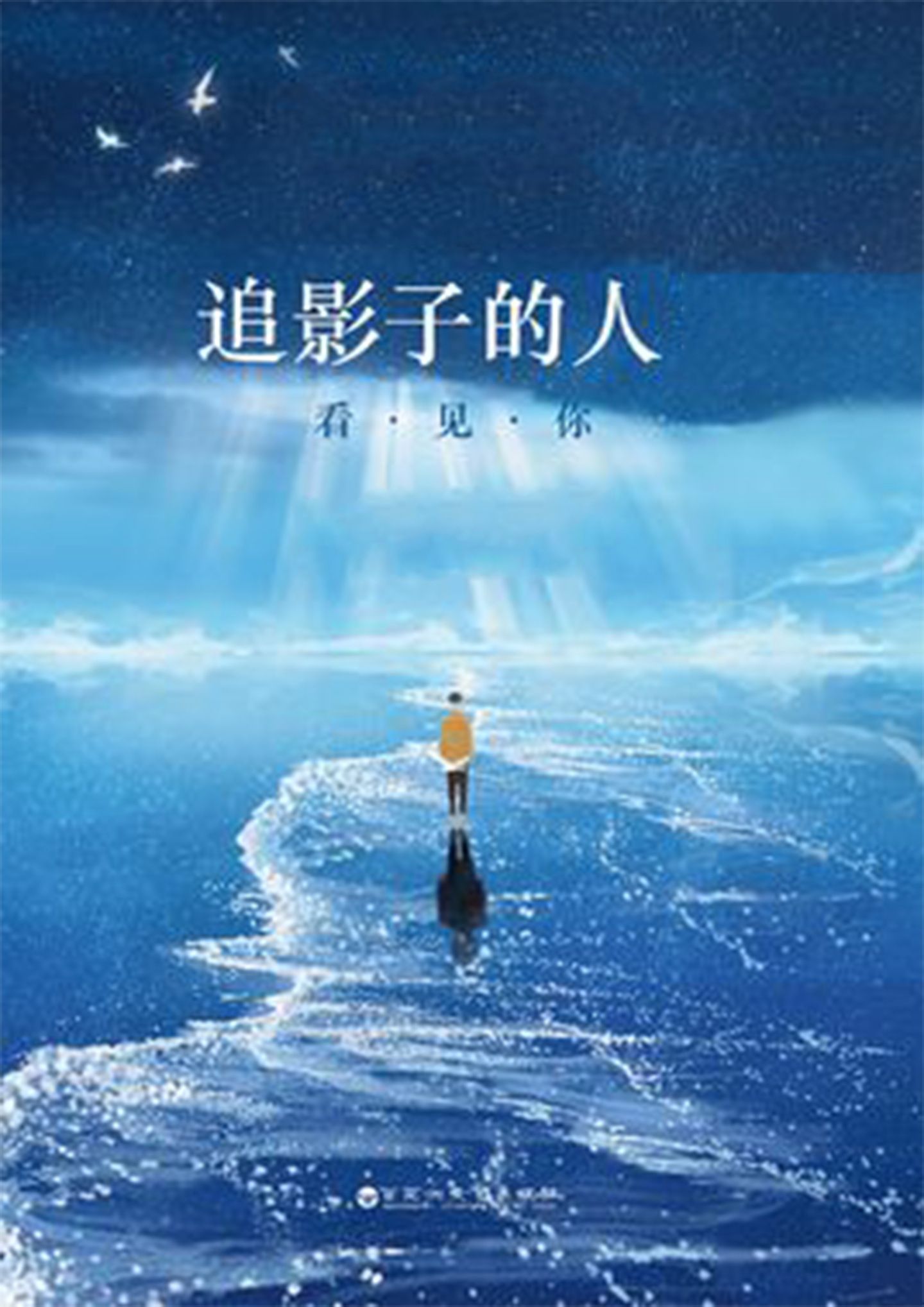 追影子的人(封面来自图搜)