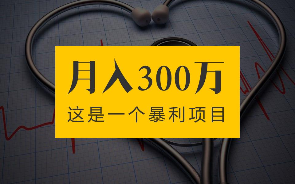 刘子悟揭秘月入300万的暴利项目看完你也能用的10个营销秘诀