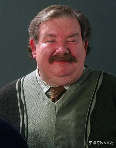 中文版里"蓄着一脸大胡子"向我们描述了不一样的dursley先生,就很有